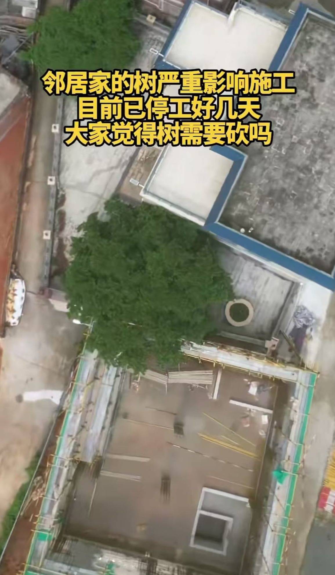 网友称全红婵新家施工因邻居家大树受阻，施工方：不存在该情况