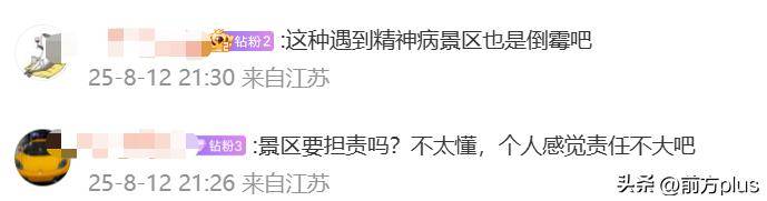 杀害19岁女生的嫌犯有“精神疾病诊疗史”，律师发声