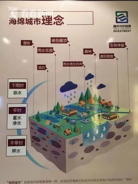 “海绵城市”之父俞孔坚巴西坠机遇难！其理念已在上海推进多年