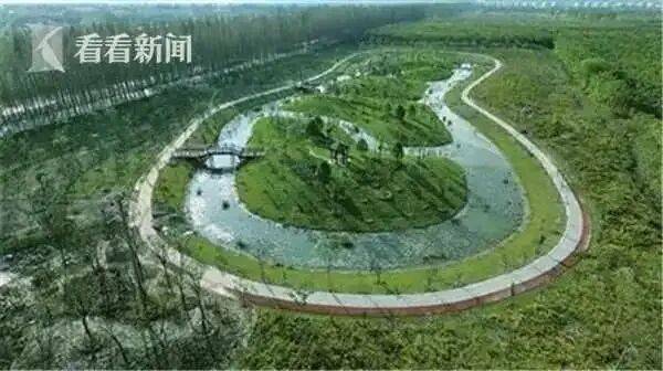 “海绵城市”之父俞孔坚巴西坠机遇难！其理念已在上海推进多年