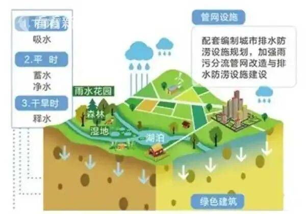 “海绵城市”之父俞孔坚巴西坠机遇难！其理念已在上海推进多年