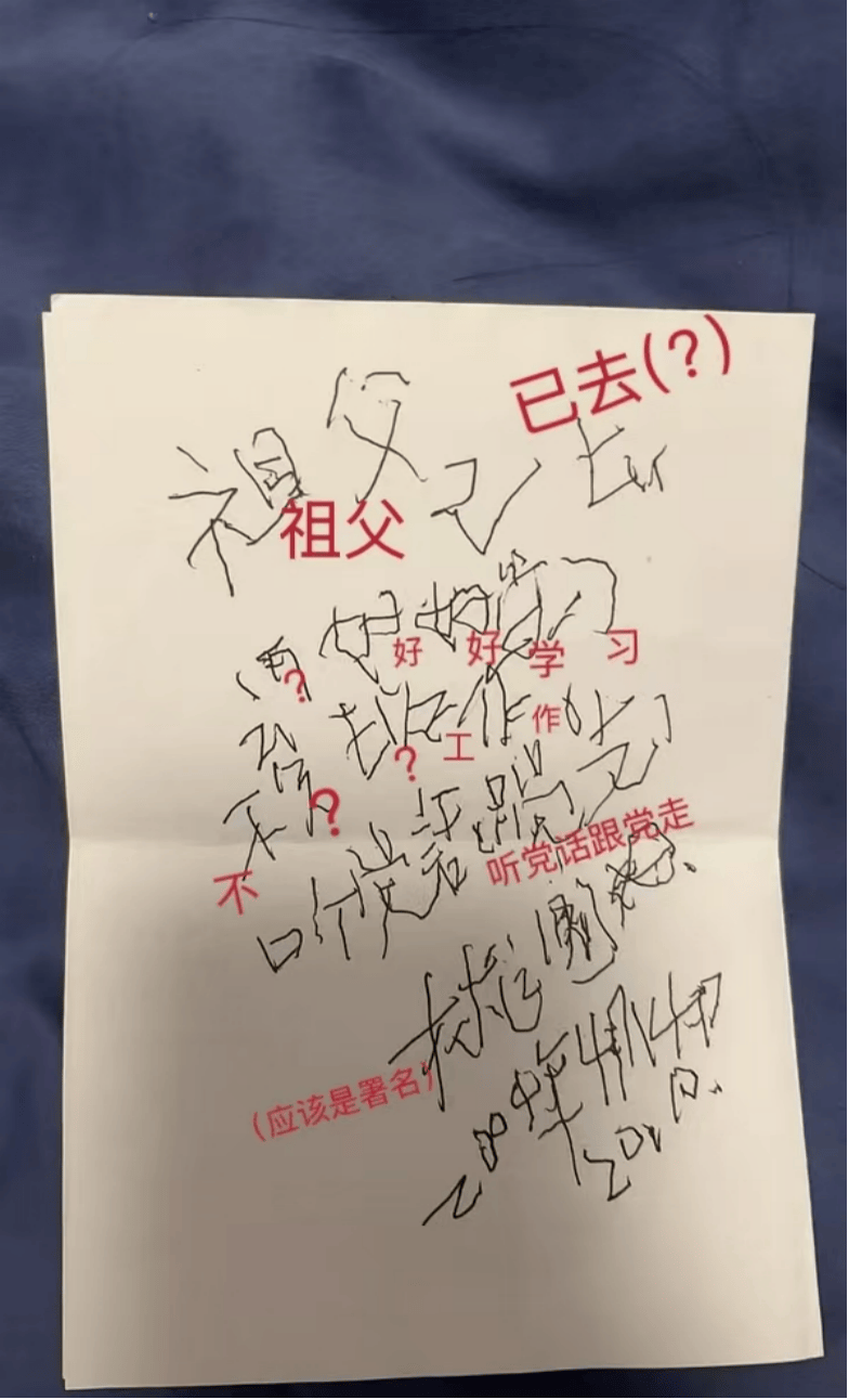“这是奶奶去世前一周写的字，想请朋友们帮忙辨认一下……”