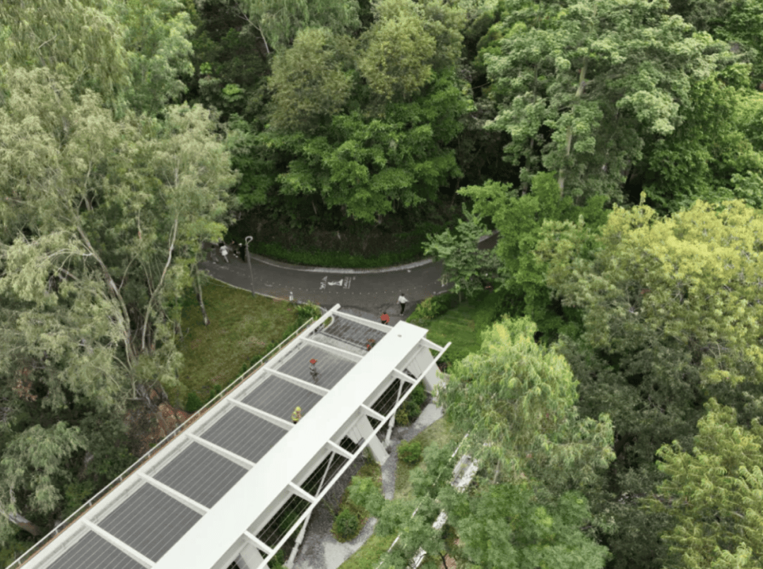 官宣！深圳山海连城又添两“新成员”，八大公园要“串”起来了