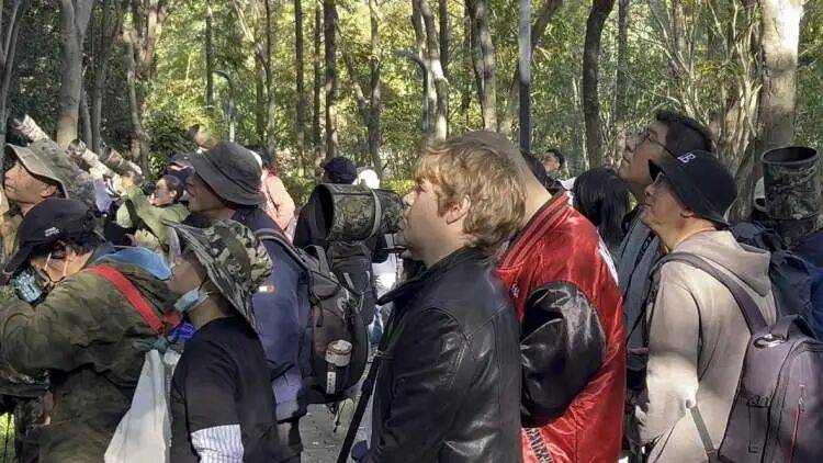 百年罕见！首次在上海被目击，有人专门从北京“打飞的”赶来