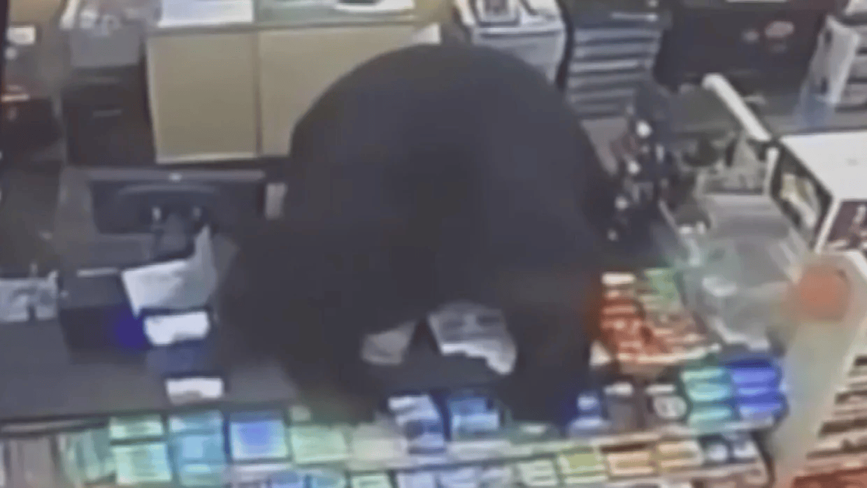 美国11岁男孩遭黑熊追杀，冲进商店求救，黑熊直接跳上收银台