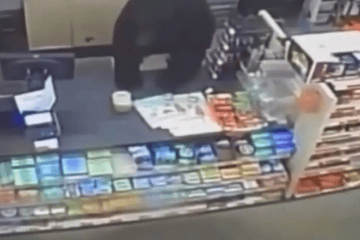 美国11岁男孩遭黑熊追杀，冲进商店求救，黑熊直接跳上收银台