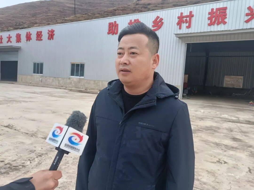 临潭：小菊芋撑起乡村振兴大产业