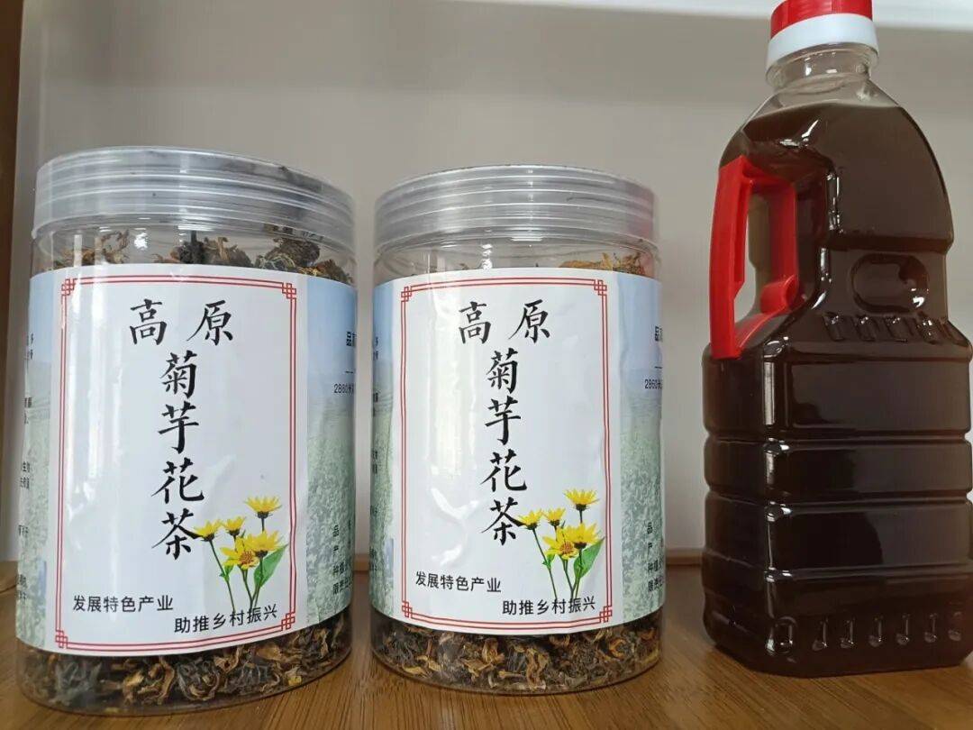 临潭：小菊芋撑起乡村振兴大产业