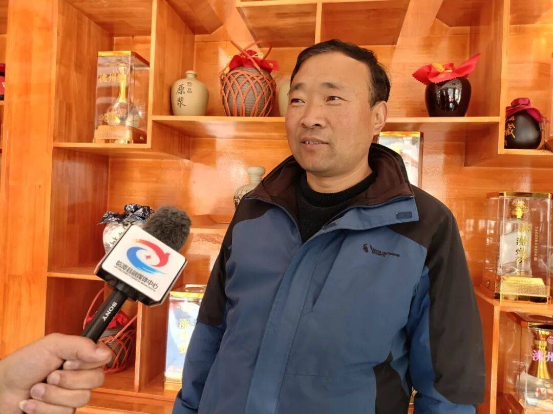 临潭：小菊芋撑起乡村振兴大产业