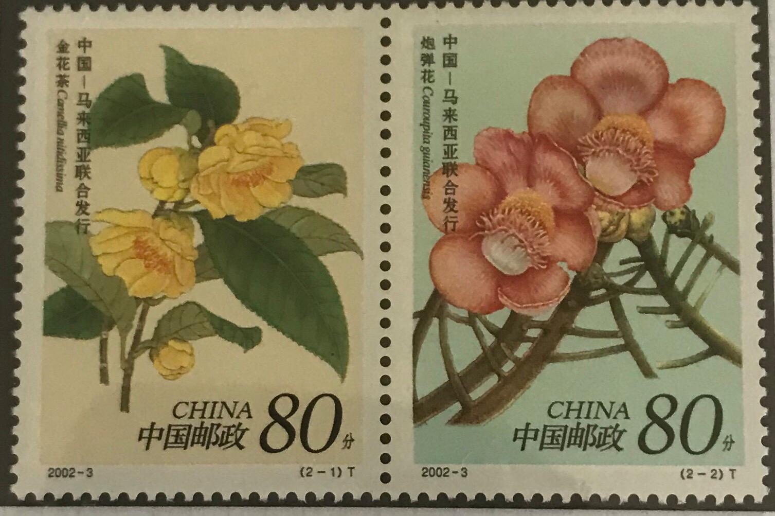 瑞波币什么时候开花(瑞波币什么时候会大跌呢)