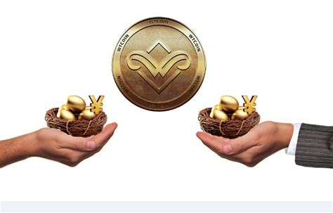瑞波币xrp的功能(xrp瑞波币的未来价格)