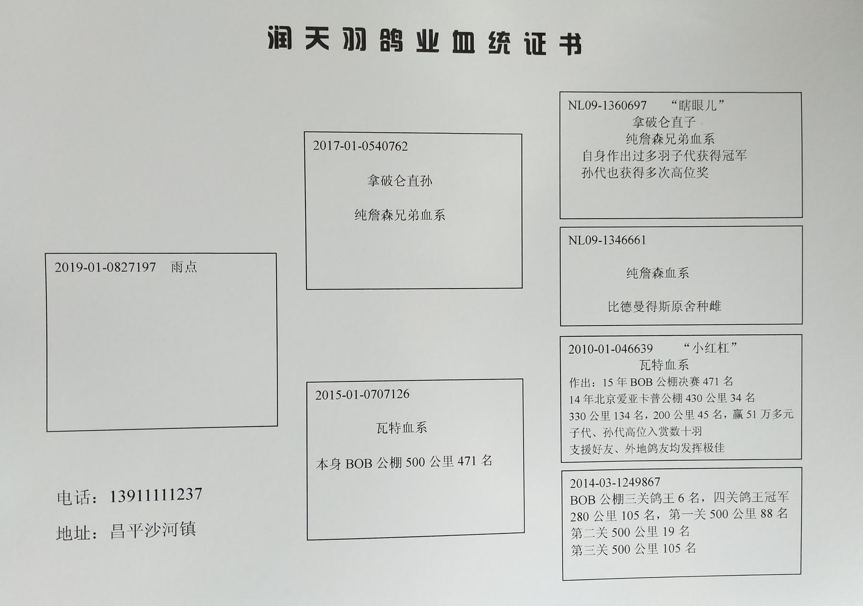 瑞波币是合法产品吗(瑞波币骗局属于诈骗吗)