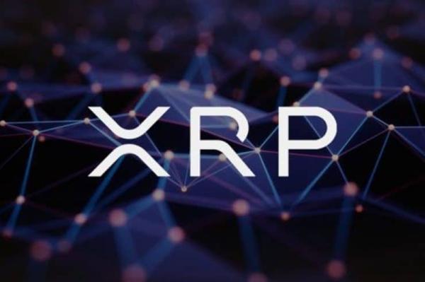 包含瑞波币XRP称之为支付之王的词条